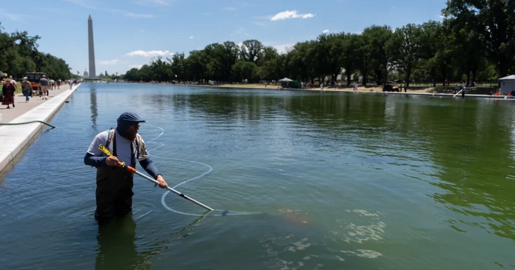 Trump Tries To Blame Reflecting Pool Woes On Vandalism, Says It Will Likely Be Drained Again For Repairs