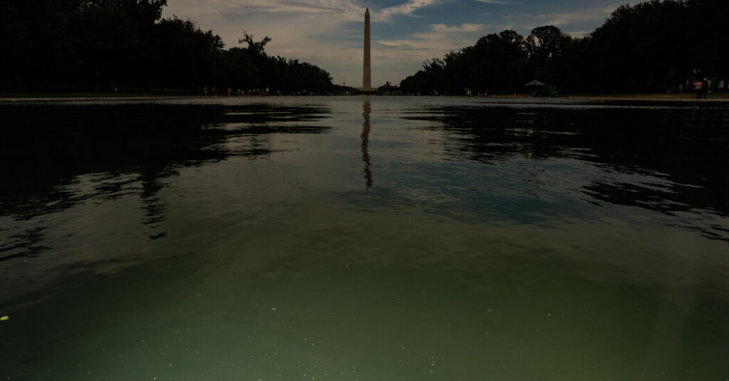 E Pluribus Algae: Why Green Pond Scum Is as American as Red, White and Blue