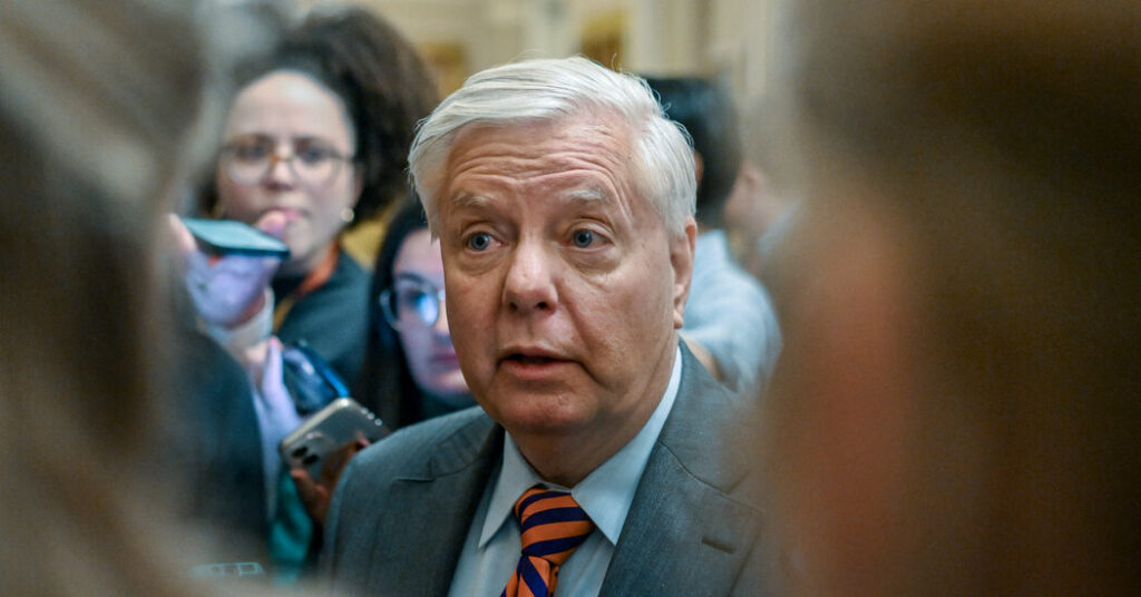 Lindsey Graham Was Facing Re-election in November. What Happens Now?