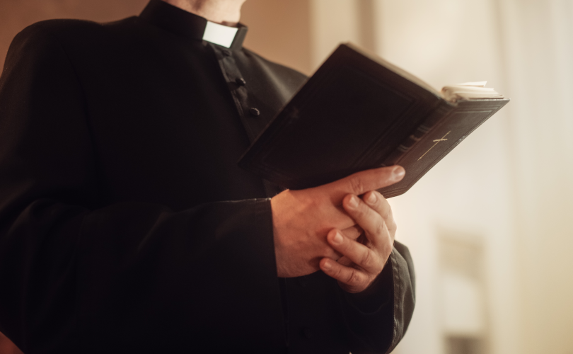 Pope Leo’s decide to steer German diocese proposes scrapping priestly celibacy