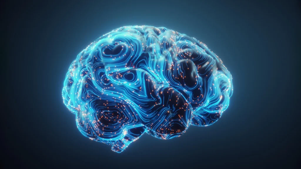 Scientists discover how the brain rewires itself to truly multitask