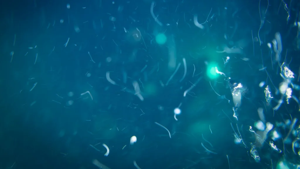 Deep-sea life has a secret food source scientists never expected