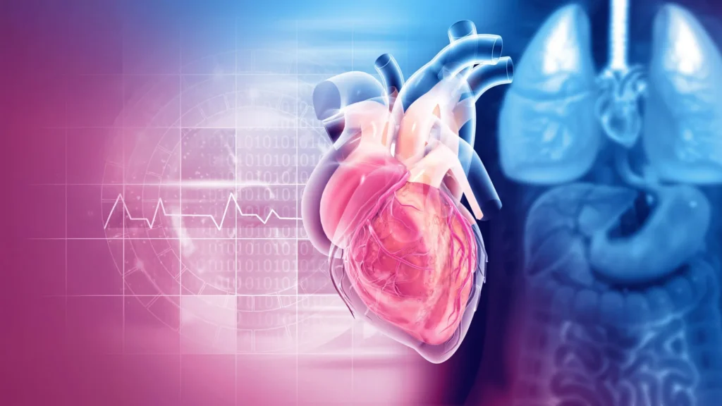 Columbia scientists discover surprising link between serotonin and heart valve disease