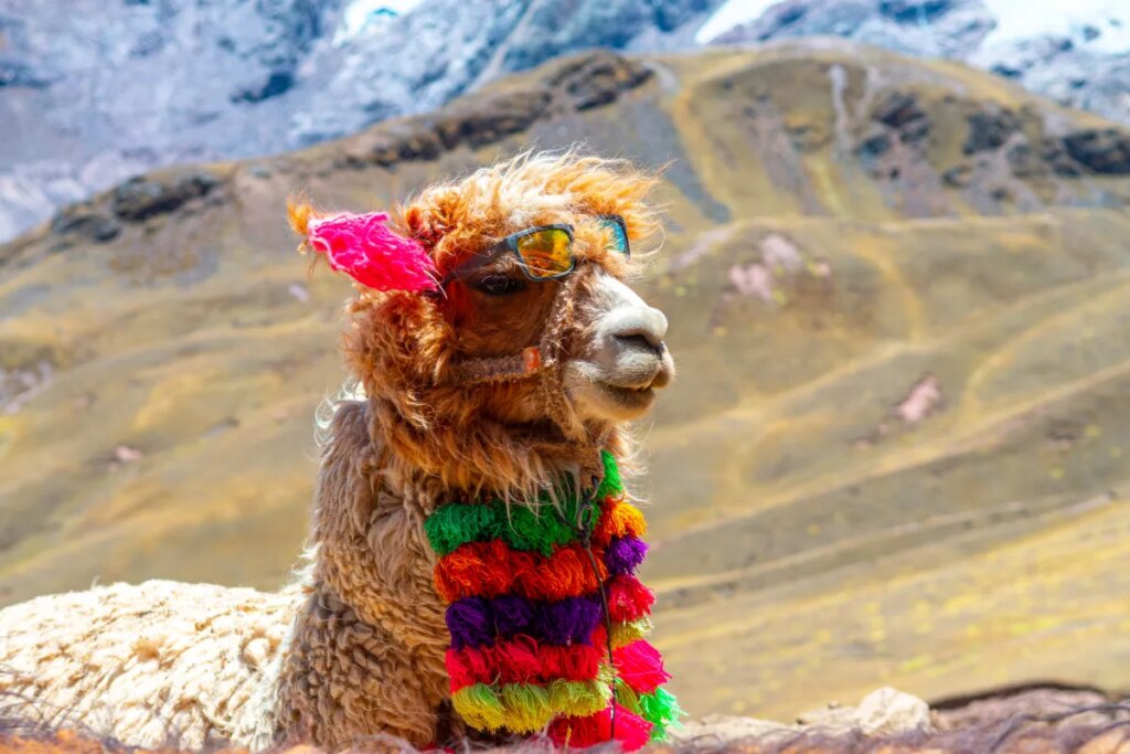 Alpaca raises $52M Collection C to take its API brokerage platform to new markets