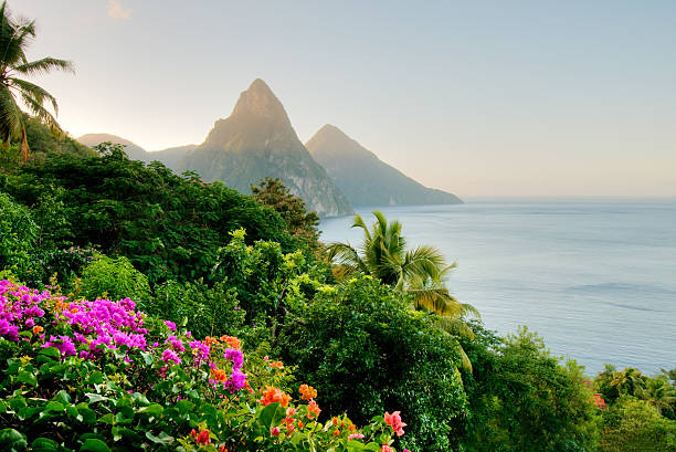 Saint Lucia: Constructing a Digital Financial system One Cost at a Time